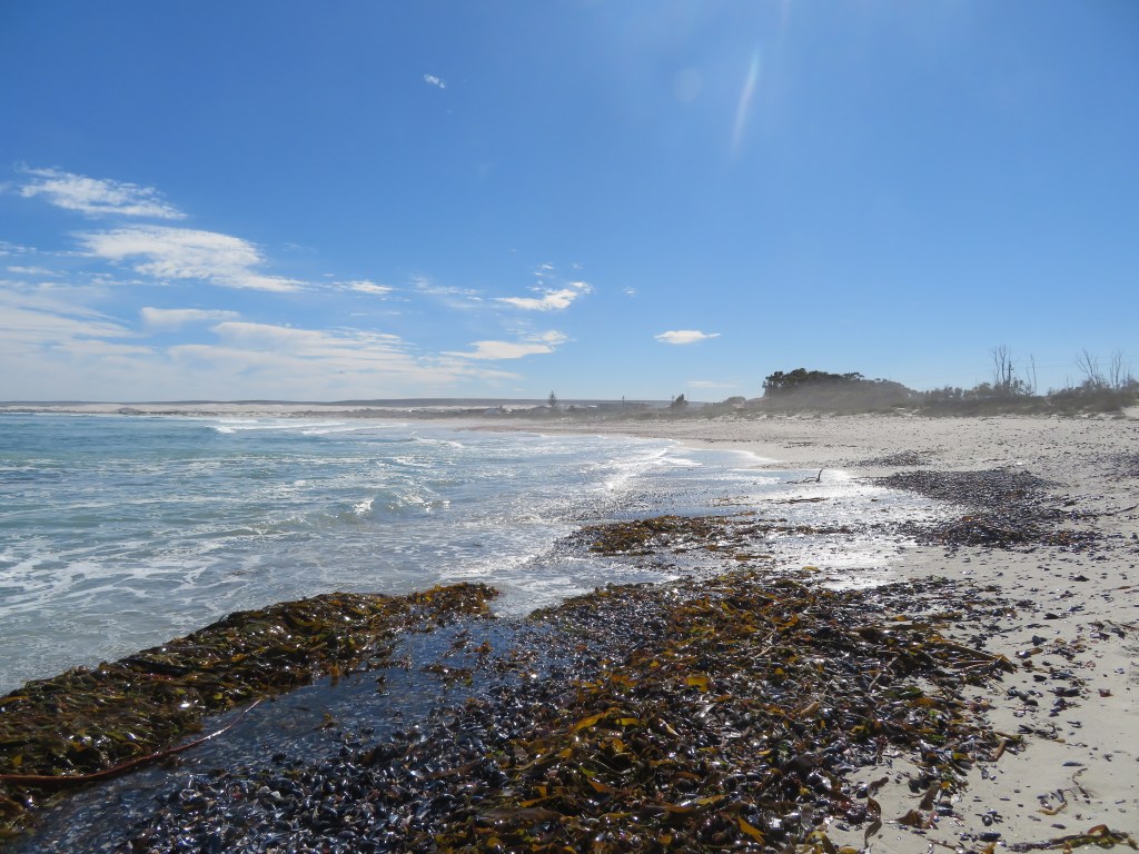 Environmental DNA for fish biodiversity&nbsp;monitoring