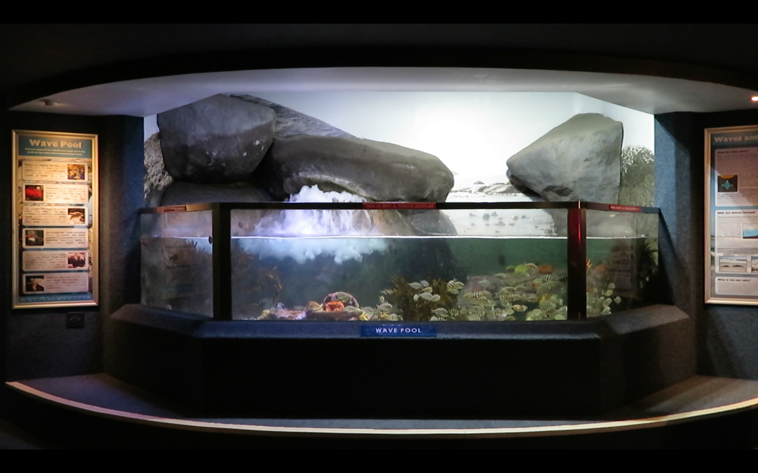 Screen Shot 2017-08-02 at 08.27.58