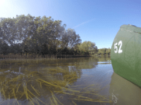 Young Science Communicator&nbsp;Winner