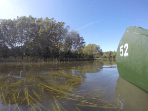Young Science Communicator&nbsp;Winner