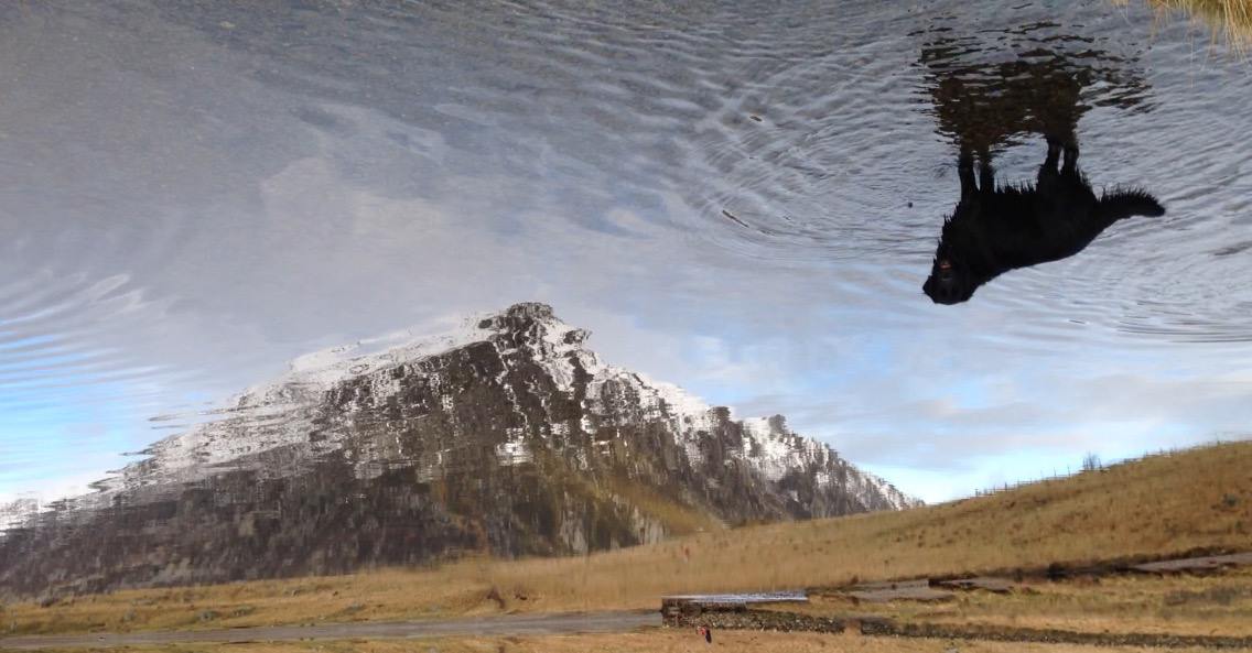 12493465_10207867219895814_4589287599007100091_o