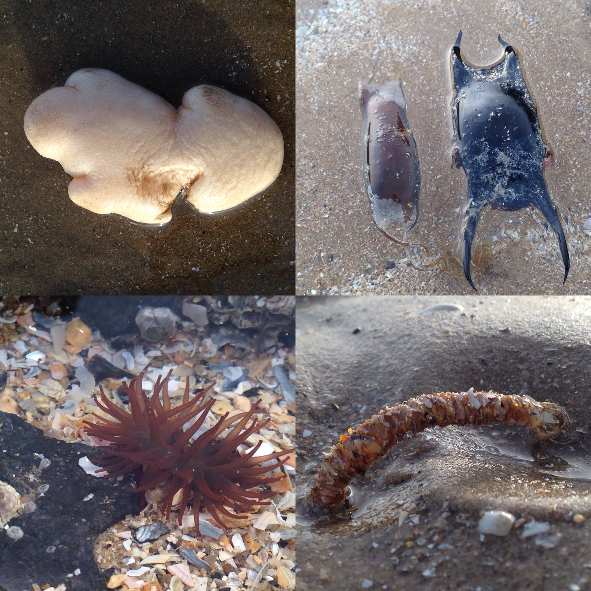 12402044_10207782158289327_6638219471105477959_o