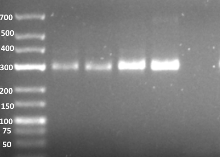 Screen Shot 2019-09-13 at 10.11.49