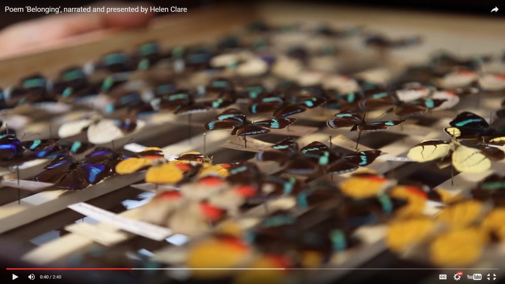 A poem inspired by a visit to the Manchester&nbsp;Museum